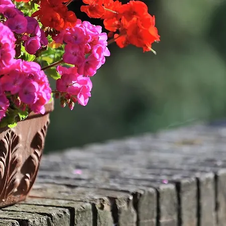 Holiday home Anna 4 Montemaggiore al Metauro
